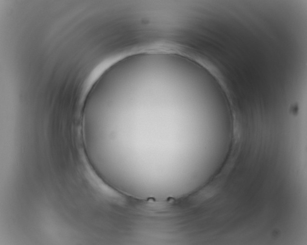 X0000114181486200910221702