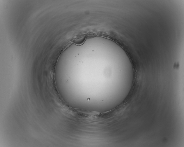 X0000114181489200910221701