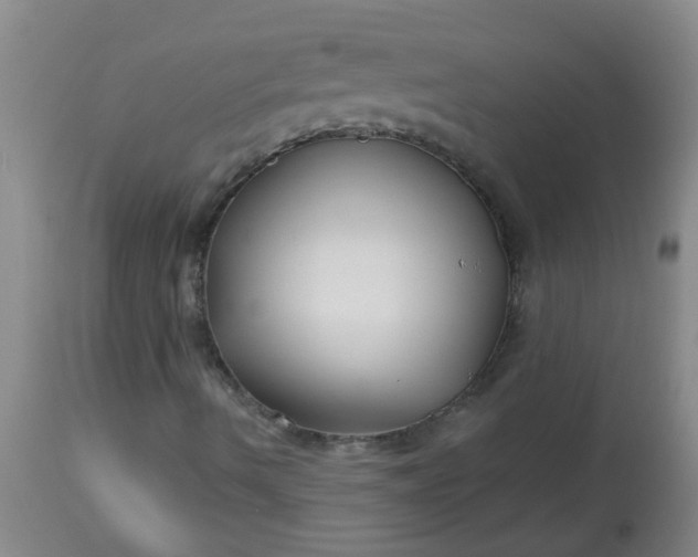 X0000114181490200910221701