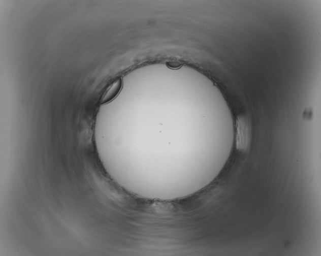 X0000114181491200910221701