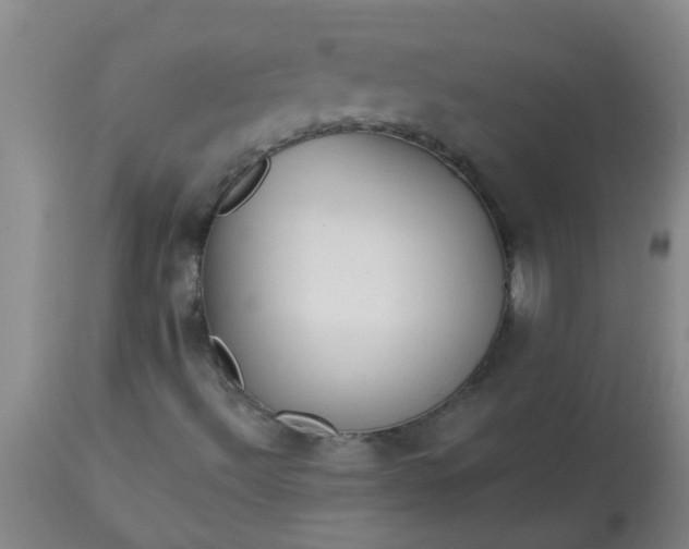 X0000114181492200910221701