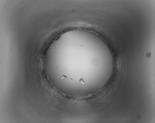 X0000114181493200910221701