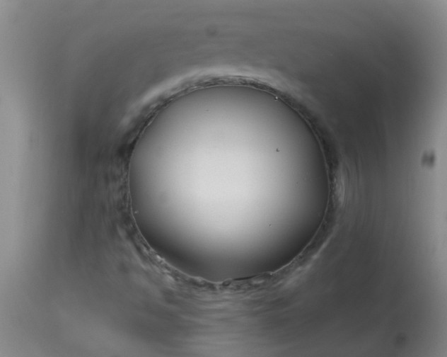 X0000114181494200910221701