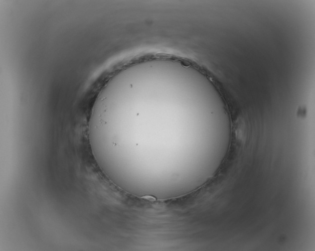 X0000114181495200910221701