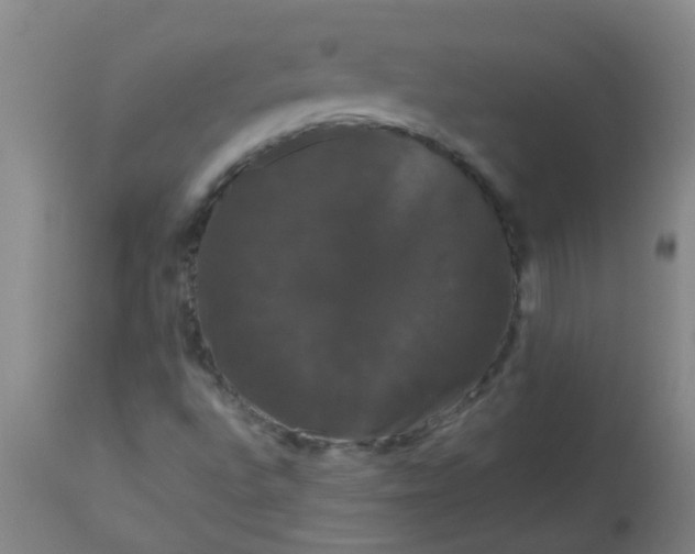 X0000114181496200910221701