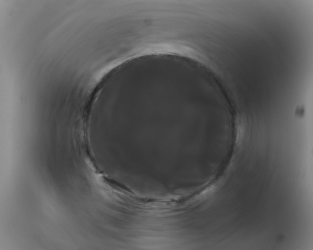 X0000114181497200910221701