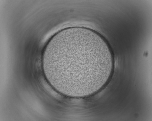 X0000114181498200910221702