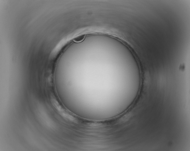 X0000114181499200910221702