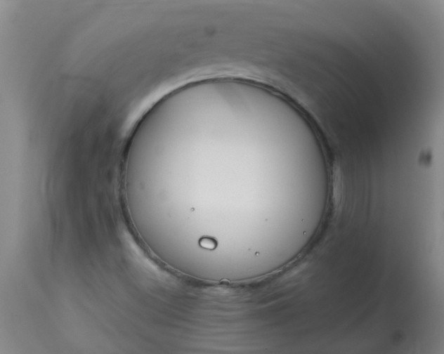 X0000114181500200910221702