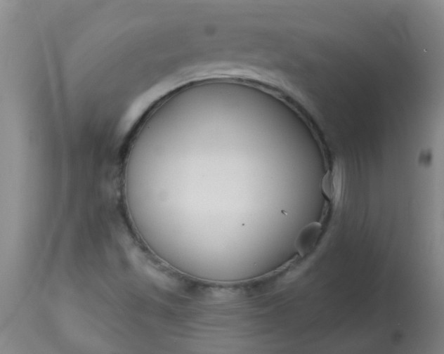 X0000114181501200910221702