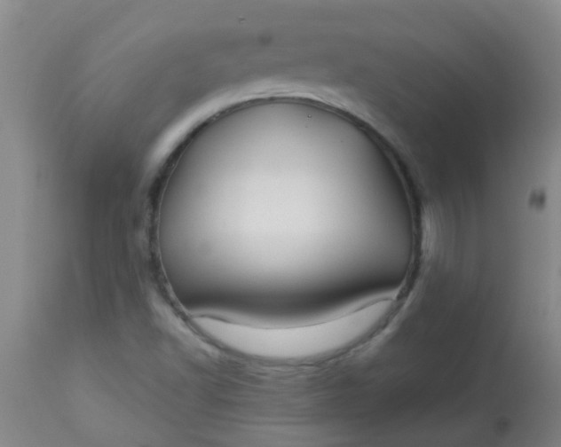 X0000114181502200910221702