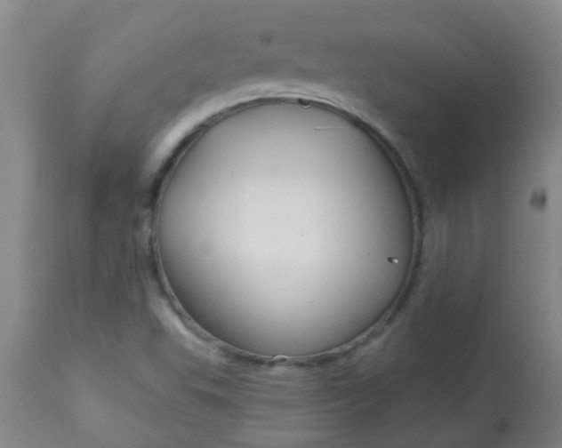 X0000114181503200910221702