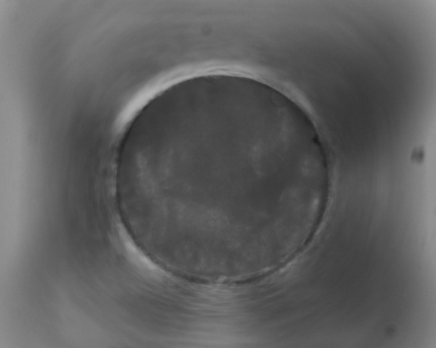 X0000114181504200910221702