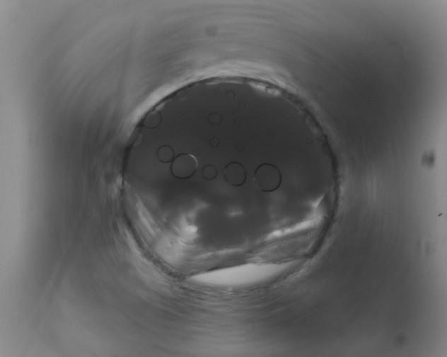 X0000114181505200910221702