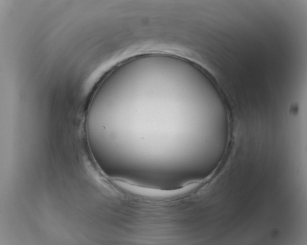 X0000114181507200910221702