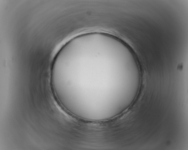 X0000114181508200910221702