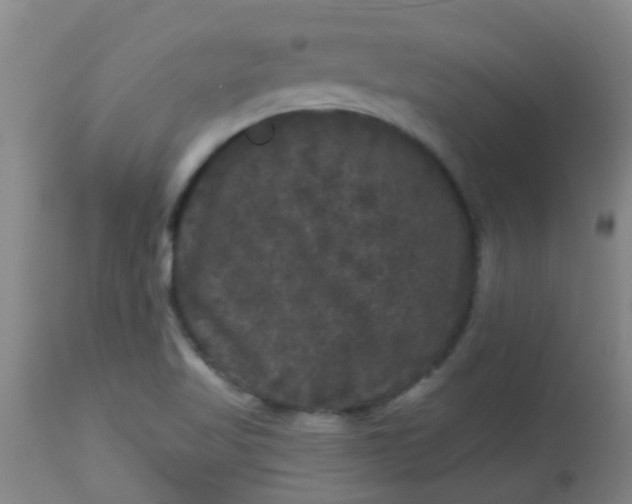 X0000114181509200910221702