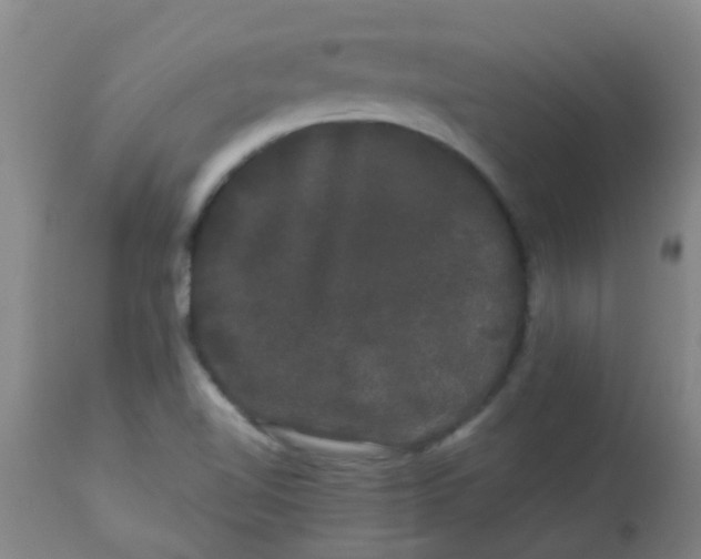 X0000114181510200910221702