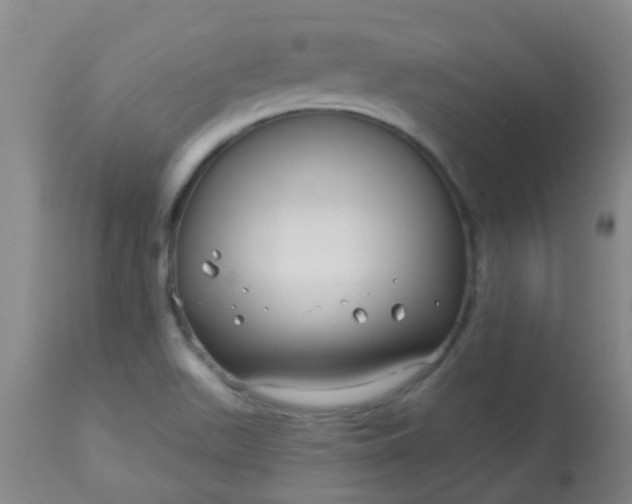 X0000114181511200910221702