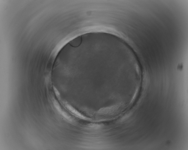 X0000114181513200910221702