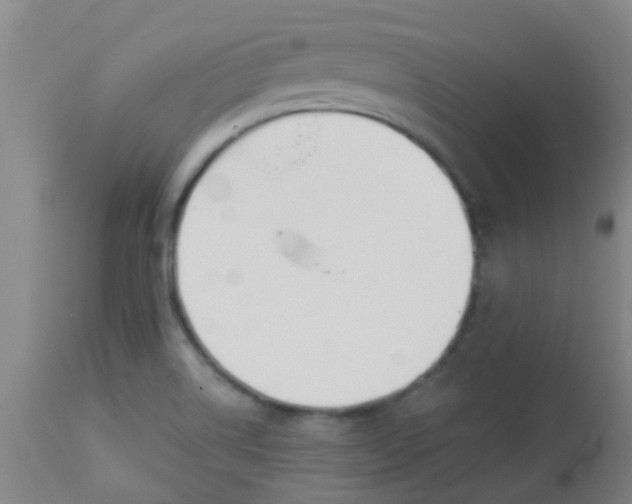 X0000114181514200910221702