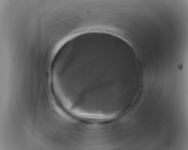 X0000114181515200910221702