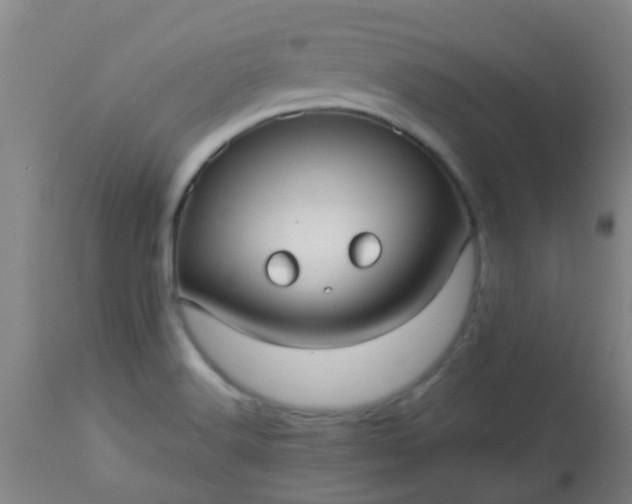 X0000114181516200910221702