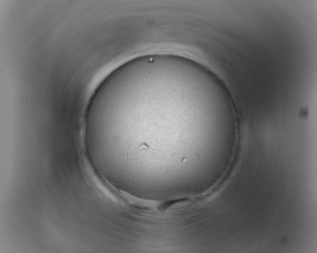 X0000114181517200910221702