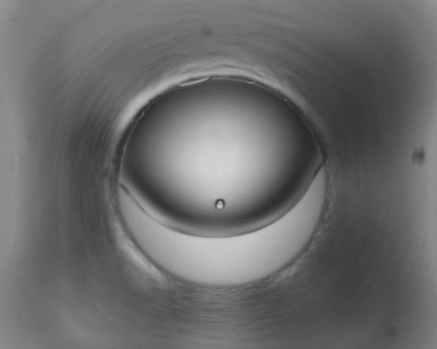 X0000114181518200910221702