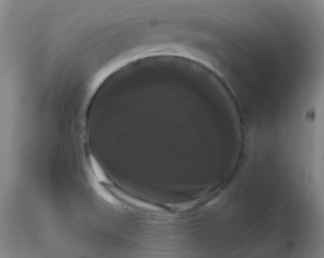 X0000114181519200910221702