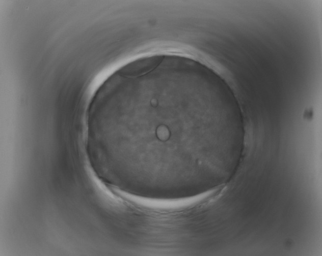 X0000114181520200910221702