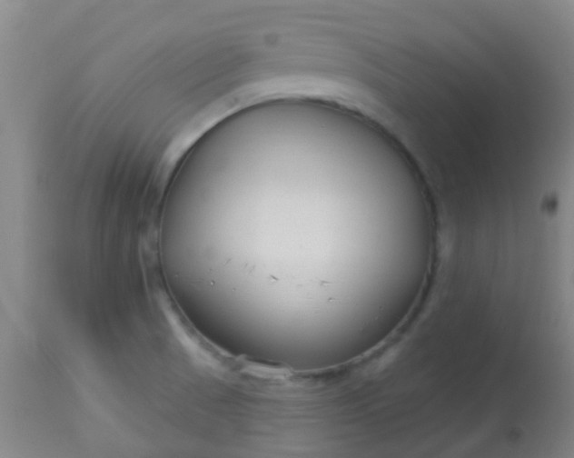 X0000114181521200910221702