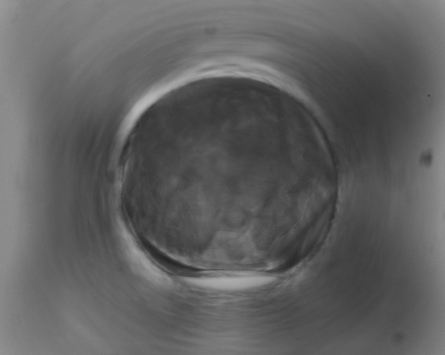 X0000114181522200910221702