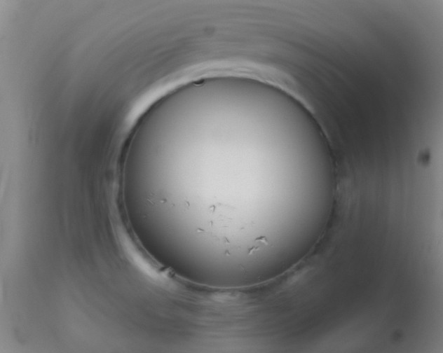 X0000114181523200910221702