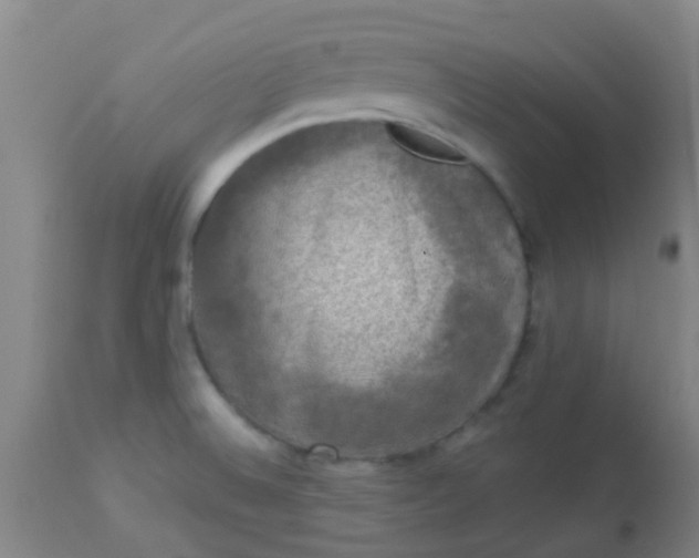 X0000114181524200910221702