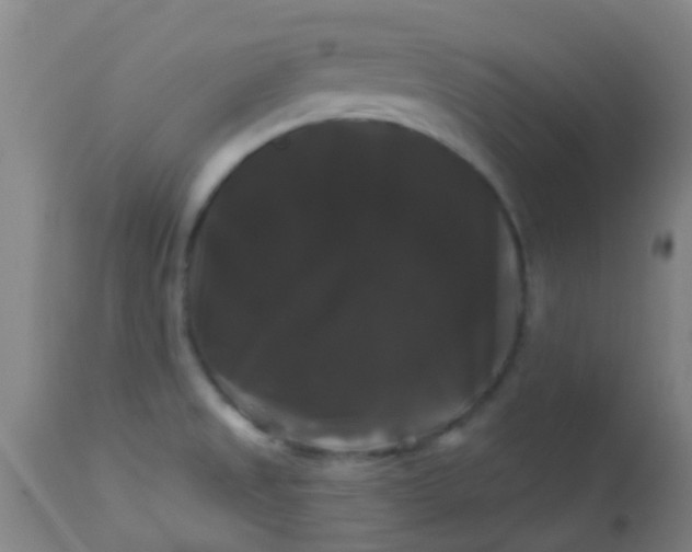 X0000114181525200910221702