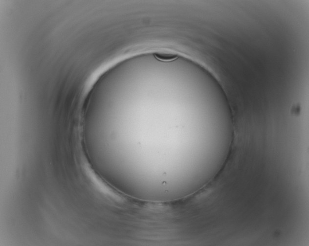 X0000114181526200910221702