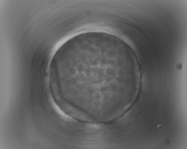 X0000114181528200910221702