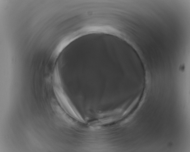 X0000114181529200910221702