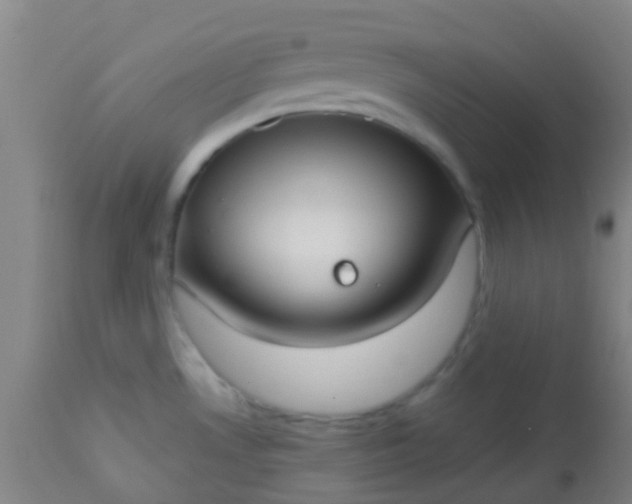 X0000114181530200910221702