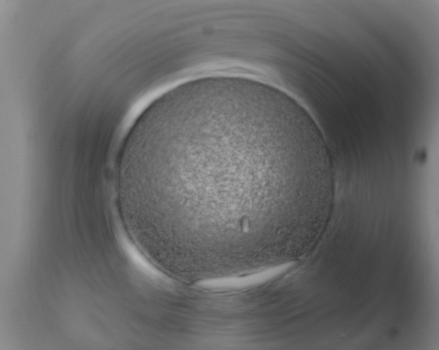 X0000114181531200910221702