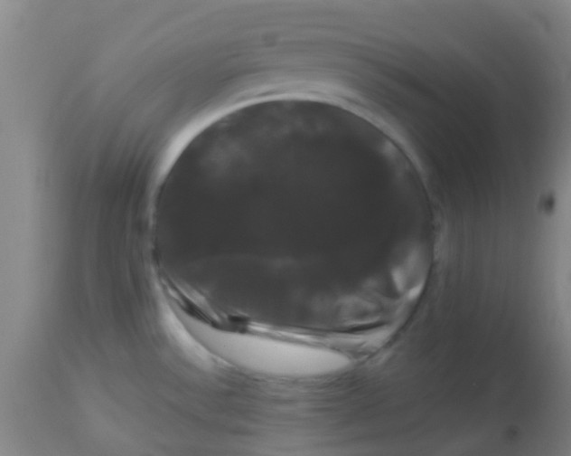 X0000114181532200910221702