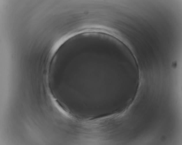 X0000114181533200910221702