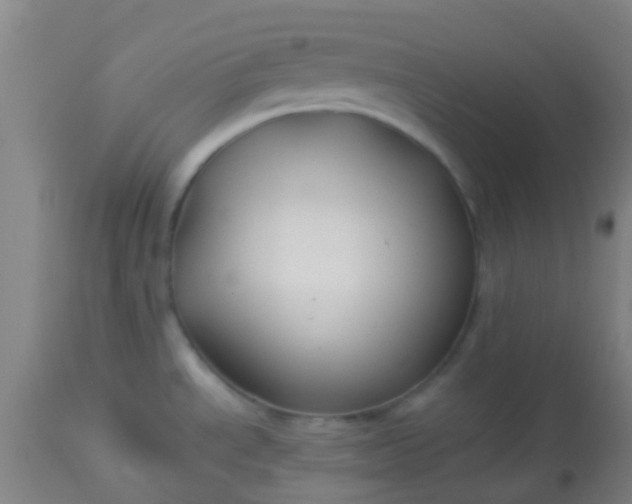 X0000114181534200910221702