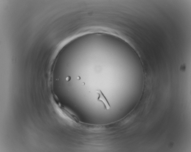 X0000114181535200910221702