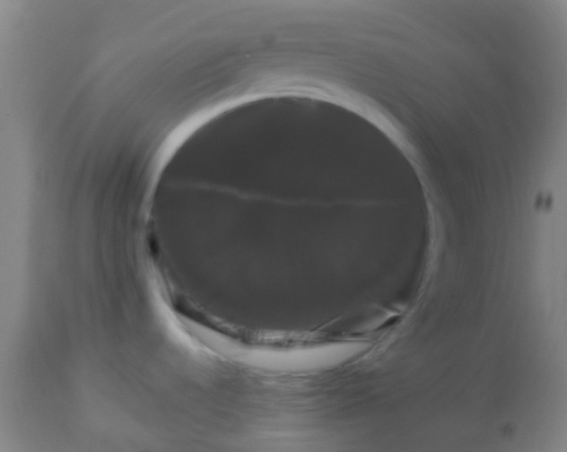 X0000114181536200910221702