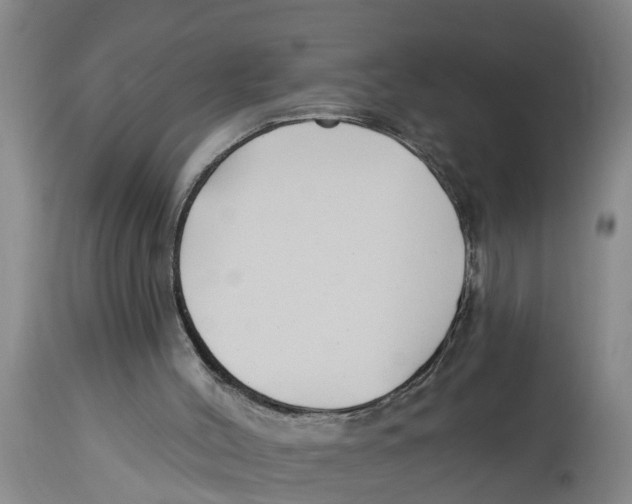 X0000114180004200911051601