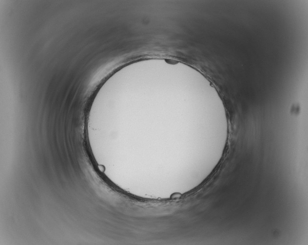 X0000114180005200911051601