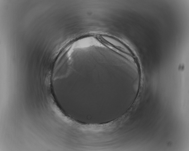 X0000114180009200911051601