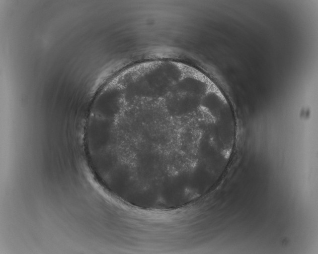 X0000114180010200911051601